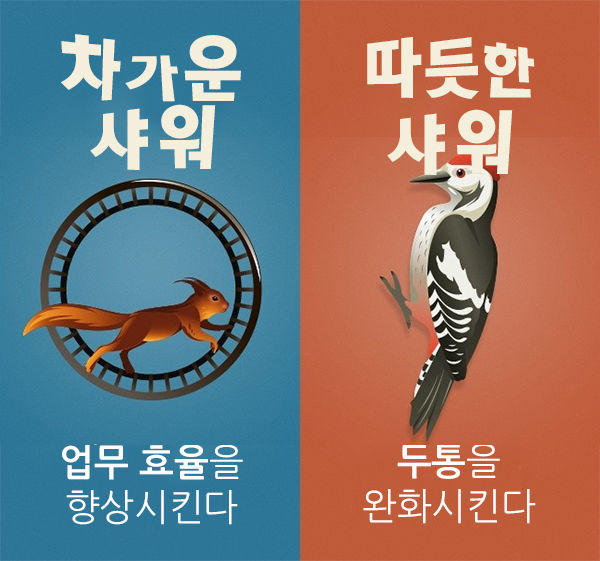 브라이트사이드