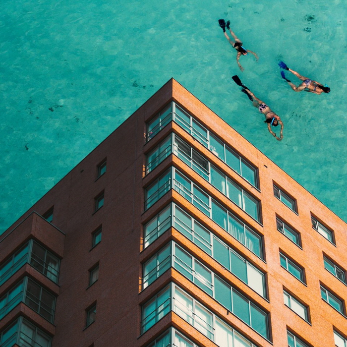 Instagram @nsh.jpg