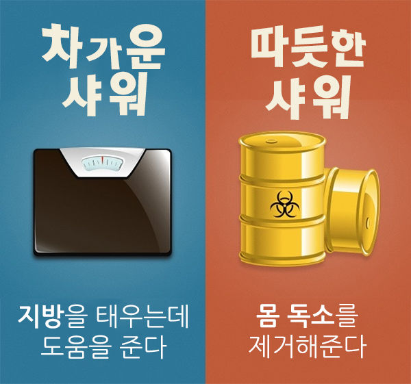 브라이트사이드