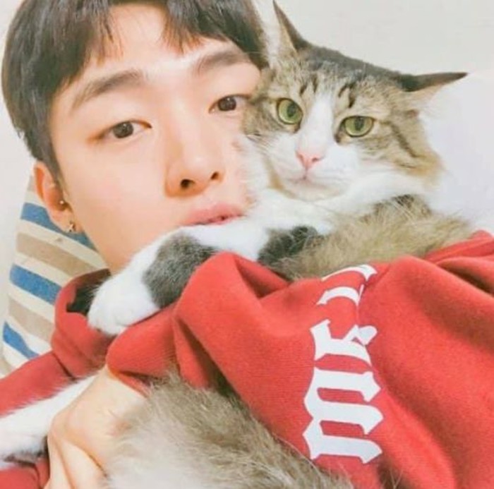 온라인 커뮤니티