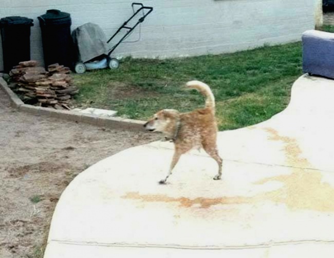 온라인 커뮤니티