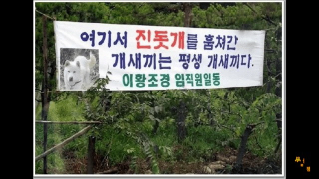 온라인 커뮤니티