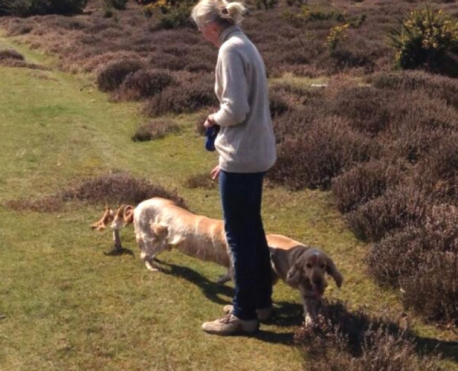 온라인 커뮤니티