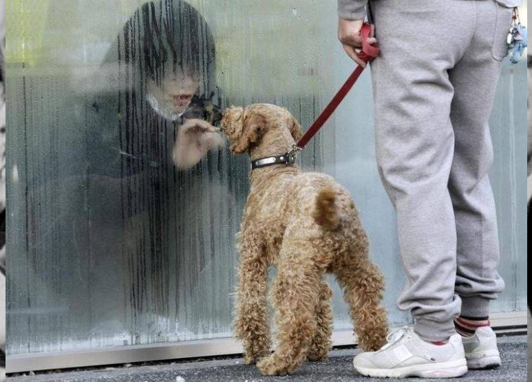 온라인 커뮤니티