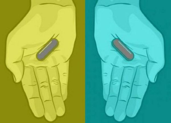 온라인 커뮤니티