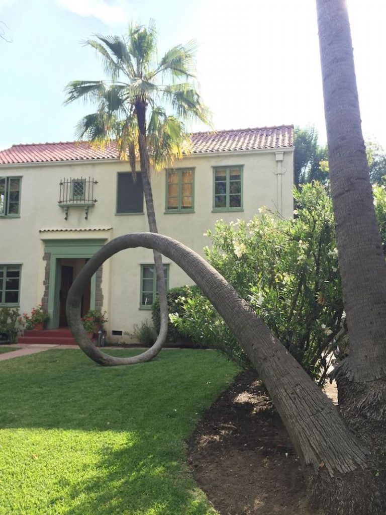 c81e728d9d4c2f636f067f89cc14862c19-768x1024