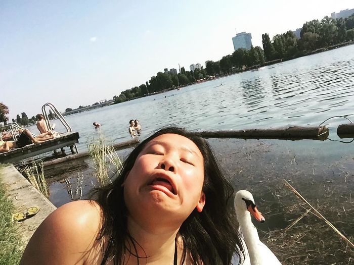 Instagram (h / t designtaxi )