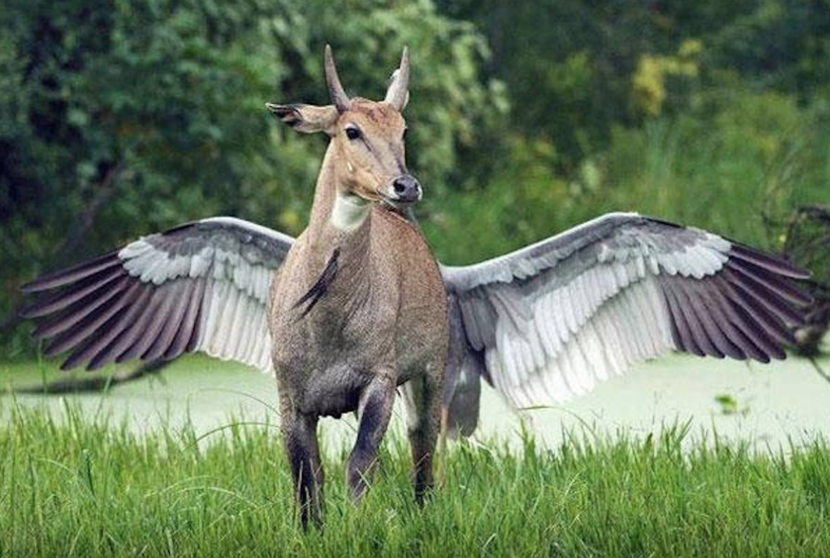 e89ea2e5b995e5bfabe785a7 2017 10 03 e4b88be58d882 24 43 - 15張「拍照前沒注意角度」的爆笑詭異照片，剛好抓到超哭夭的悲劇瞬間！笑到並軌！