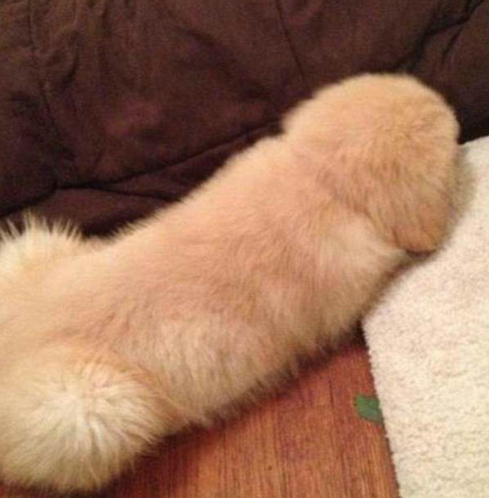 e89ea2e5b995e5bfabe785a7 2017 10 03 e4b88be58d882 25 37 - 15張「拍照前沒注意角度」的爆笑詭異照片，剛好抓到超哭夭的悲劇瞬間！笑到並軌！