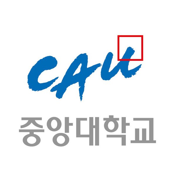 중앙대