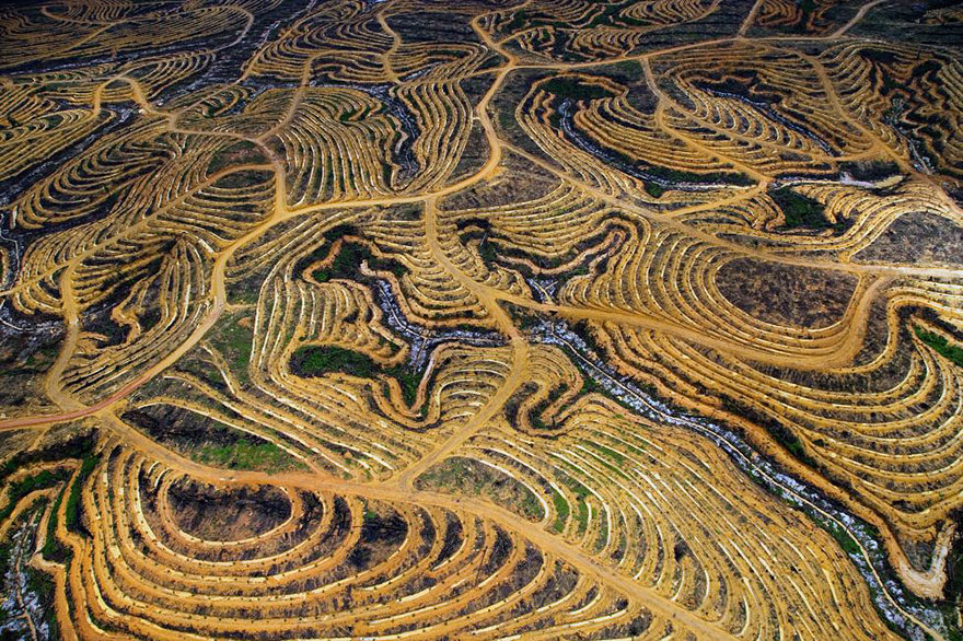 populationspeakout.org