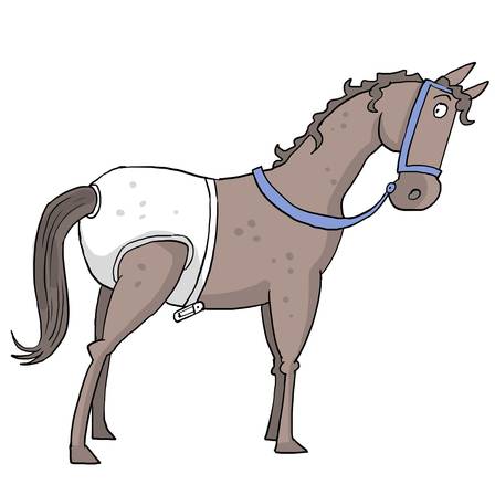 fralda_em_cavalo