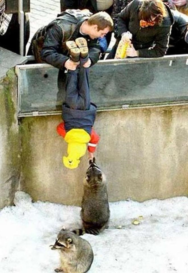 thesun, splitpics.uk