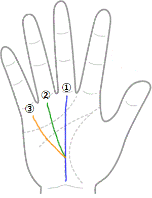 「運命線　太陽線　財運線」の画像検索結果