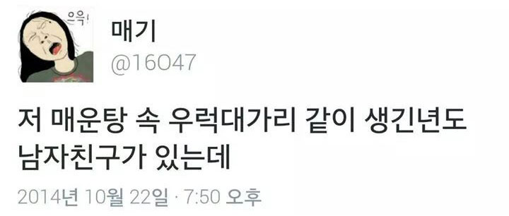트위터 '매기(@16047)'