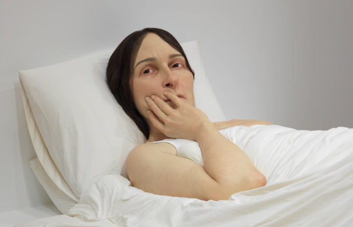 Facebook | Ron Mueck