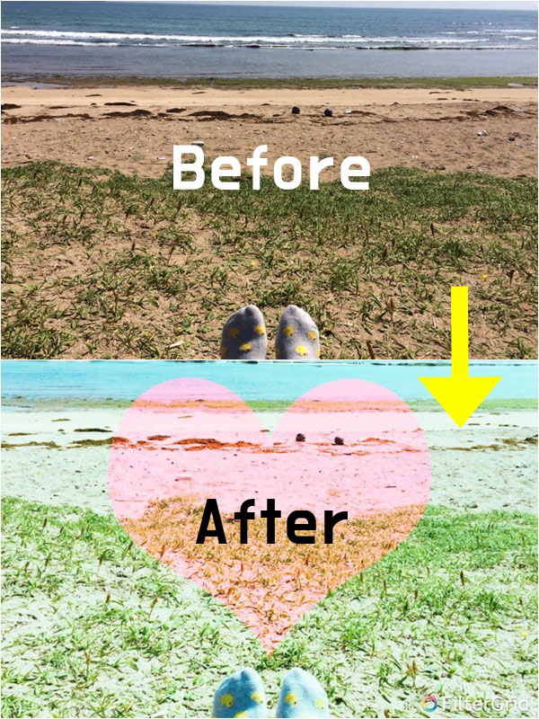 이미지 출처 | 온라인 커뮤니티