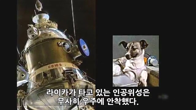 Youtube '랭킹모아'