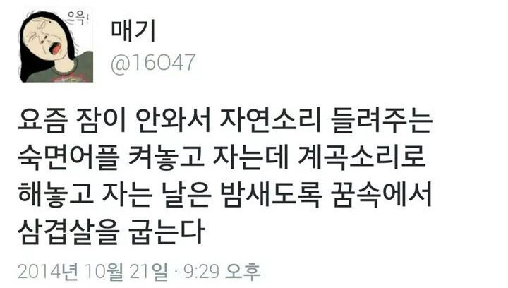 트위터 '매기(@16047)'