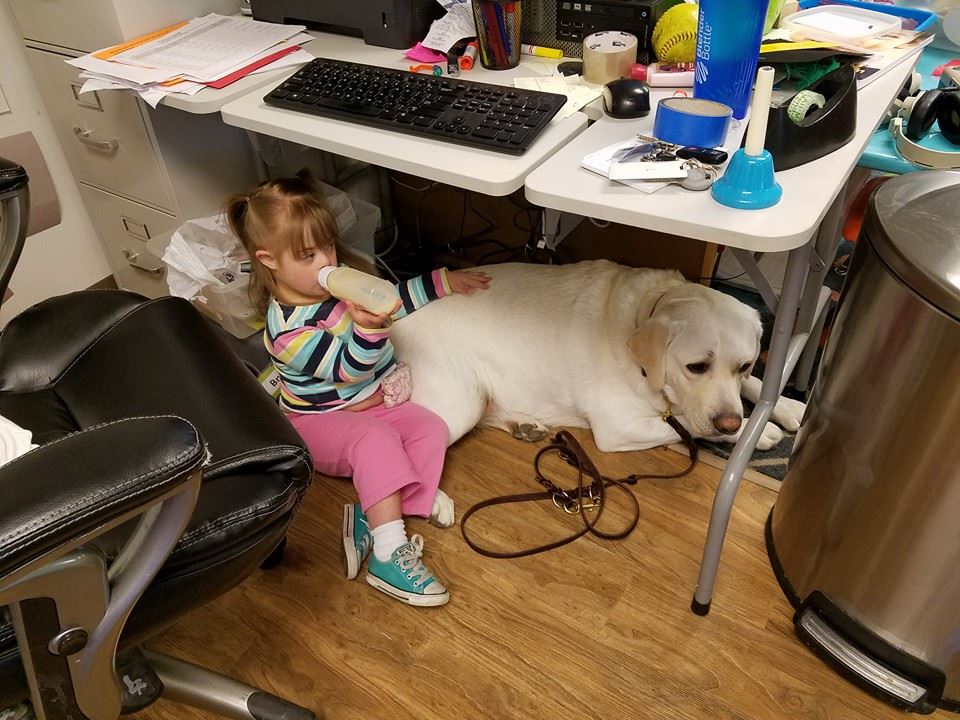 13221006_569729236531864_4063964057376466775_n