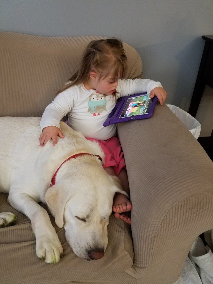 13241344_577019735802814_723058360273677269_n