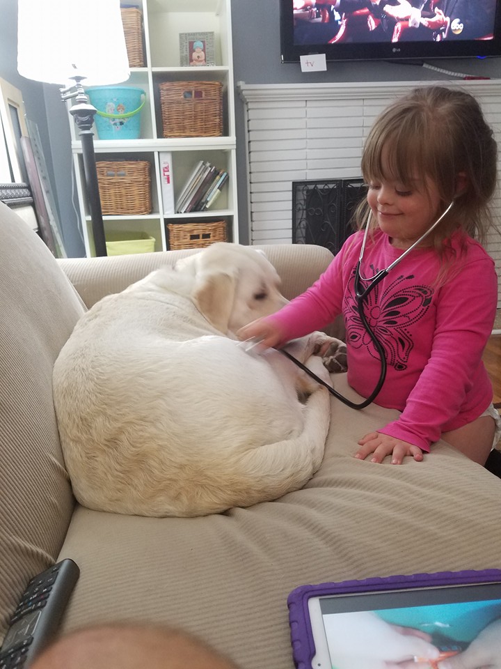 13256066_572469129591208_2842342142583111338_n