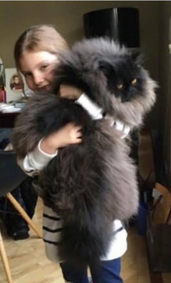 13507112_1042189955836733_8670169970157872183_n