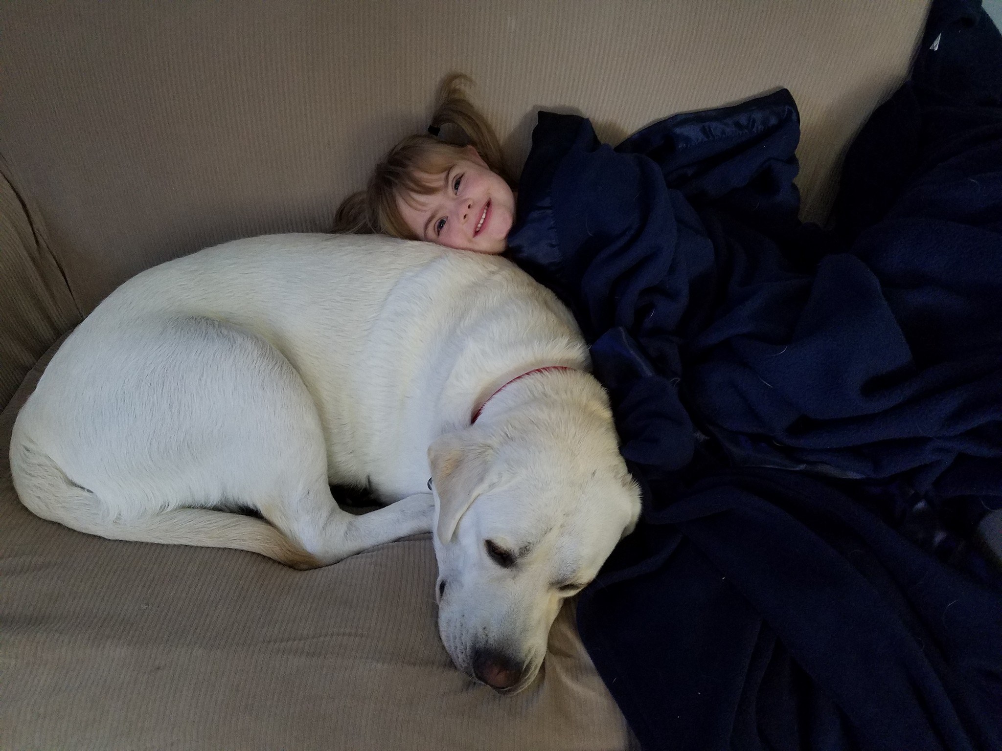 13584846_597385077099613_7881943958431890956_o