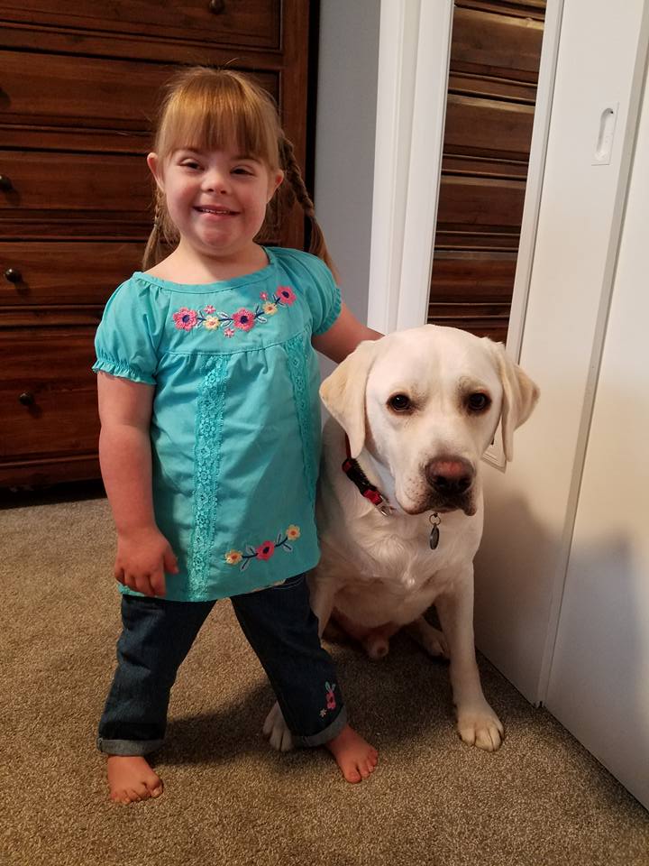 14117827_621366904701430_2790945550492165148_n