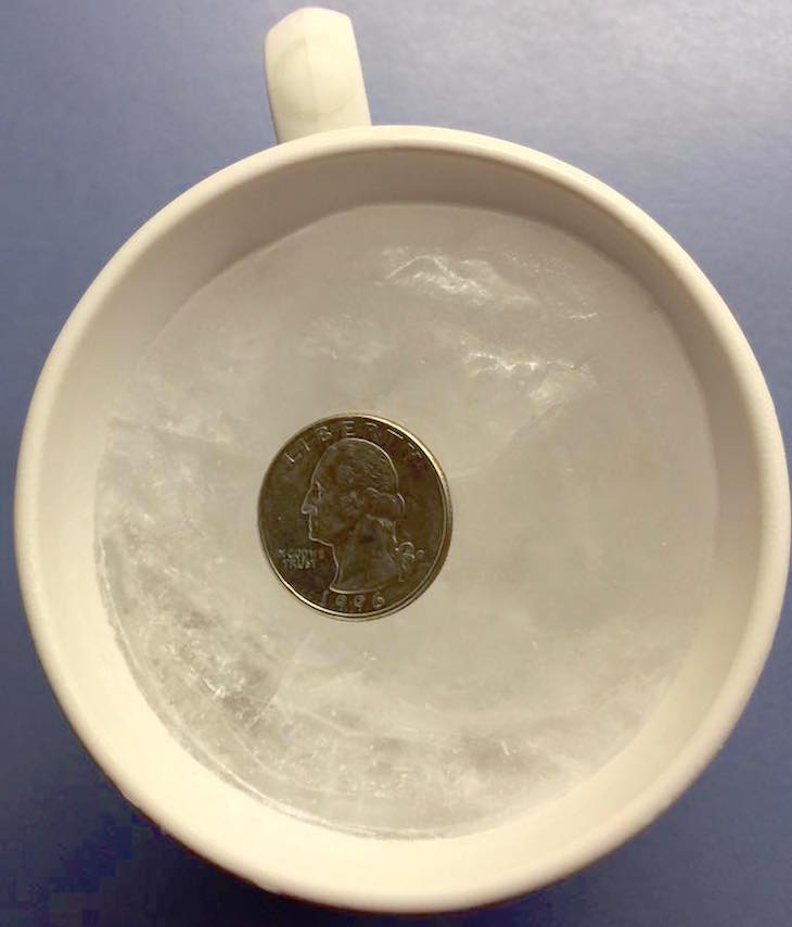 14572392_1295761810437025_2048996106003452108_n