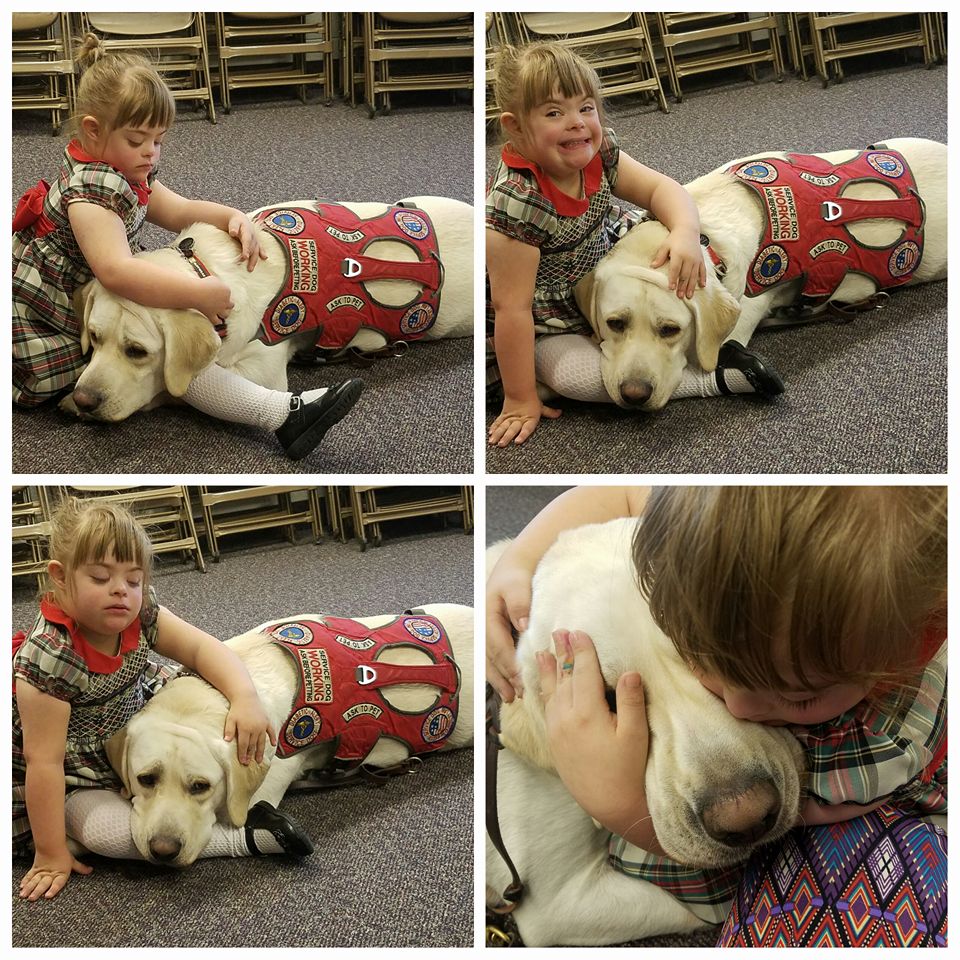 14657274_657961574375296_5948928644684329683_n