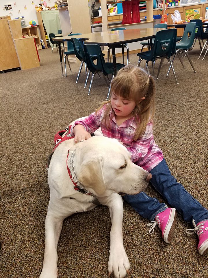 14681663_660365374134916_7880839608379169466_n