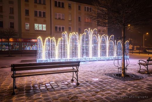 15338881_1234980319901774_9058467089213576663_n