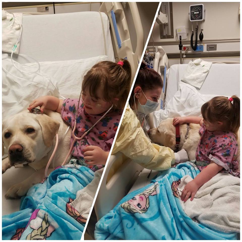 16712024_719797098191743_5672130465978744659_n