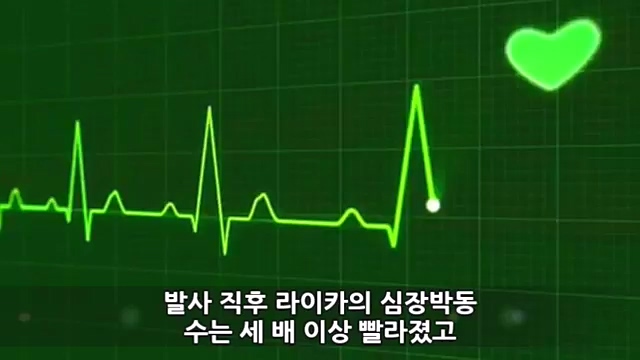 Youtube '랭킹모아'