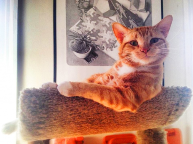 19744060-19580310-mwpajit-1508217706-0-1508245479-0-1508247367-1508247369-960-1-1508247369-650-c32ff871b3-1508520499