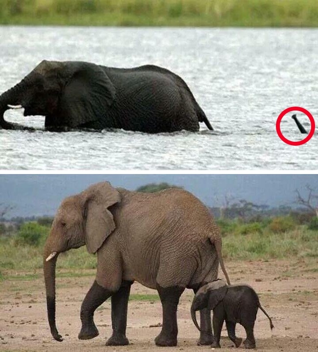 19744410-19592760-b_r3rwzmopolzctircgrbyhjljqpkqxgkvg1wmwghww-1508160424-0-1508245412-0-1508249251-1508249254-650-1-1508249254-650-9428cb524a-1508520499