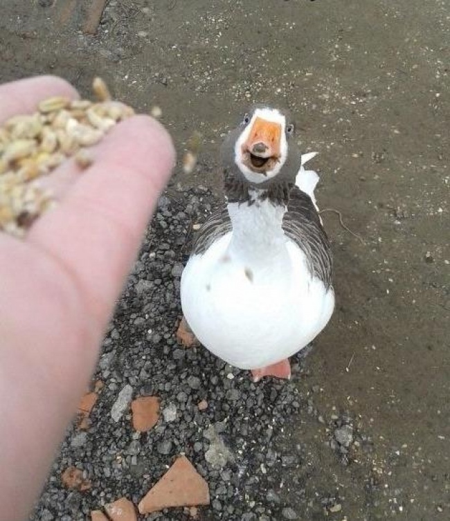 19745210-lvrxb76-1508162523-650-8e31b450a8-1508520499