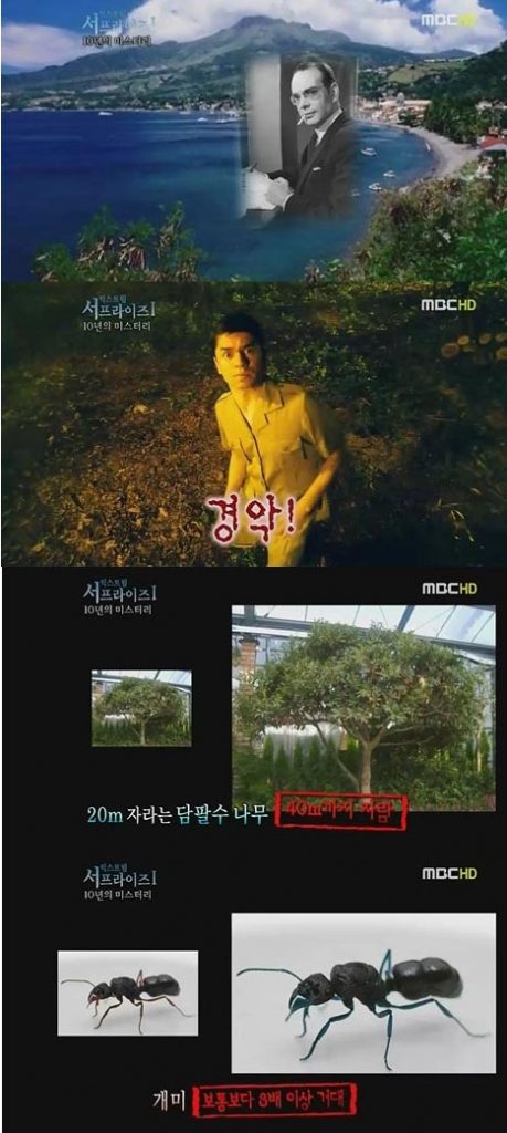 MBC '서프라이즈' 방송화면 캡처