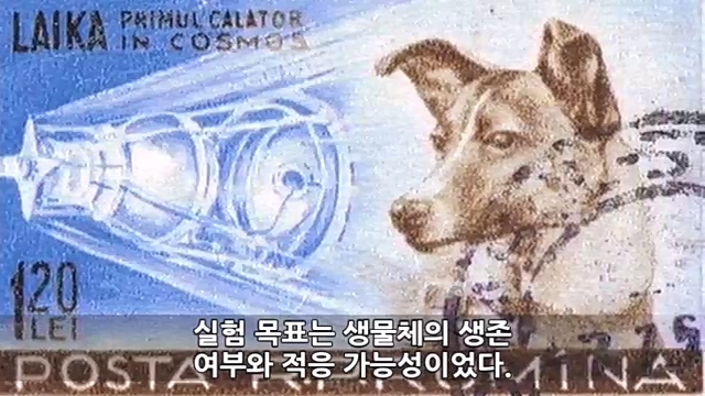 Youtube '랭킹모아'