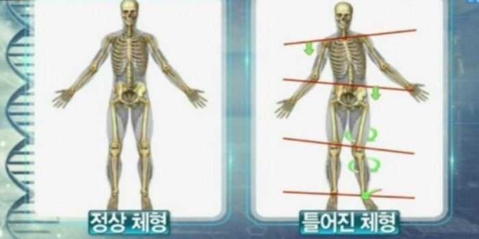 채널A '나는 몸신이다'