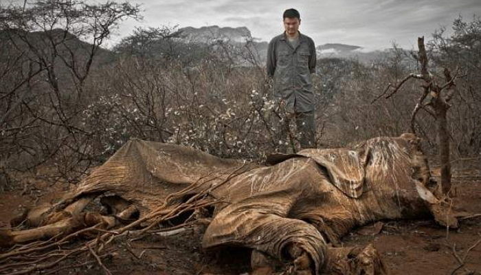 Kristian Schmidt/Wild Aid/Foundation for Deep Ecology