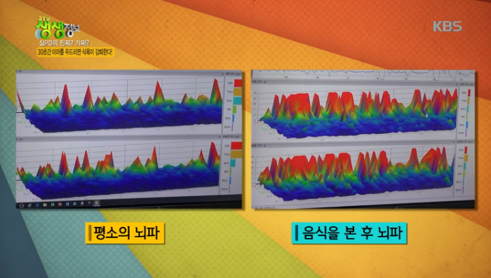 KBS 2TV '생생정보'