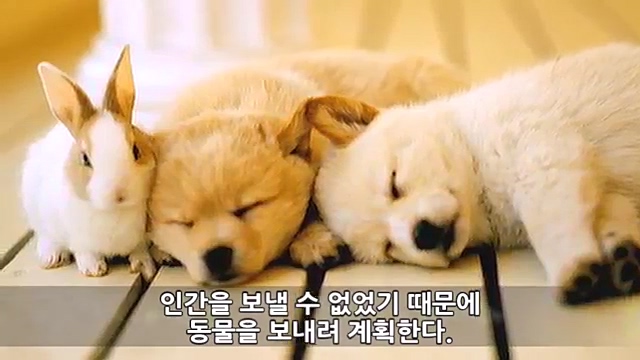 Youtube '랭킹모아'