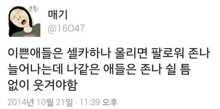 트위터 '매기(@16047)'