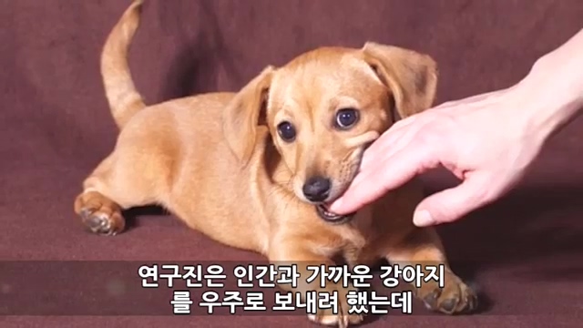 Youtube '랭킹모아'