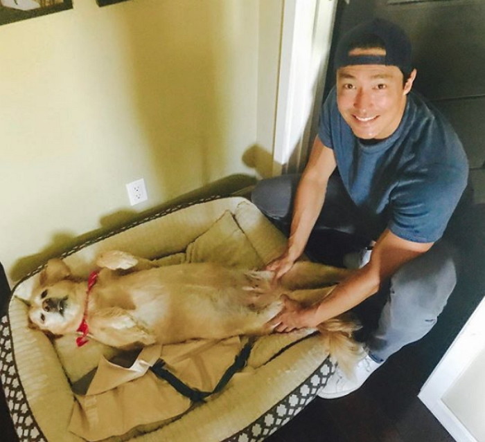 반려견 망고와 즐거운 시간을 보내고 있는 다니엘 헤니 / Instagram 'danielhenneyofficial'