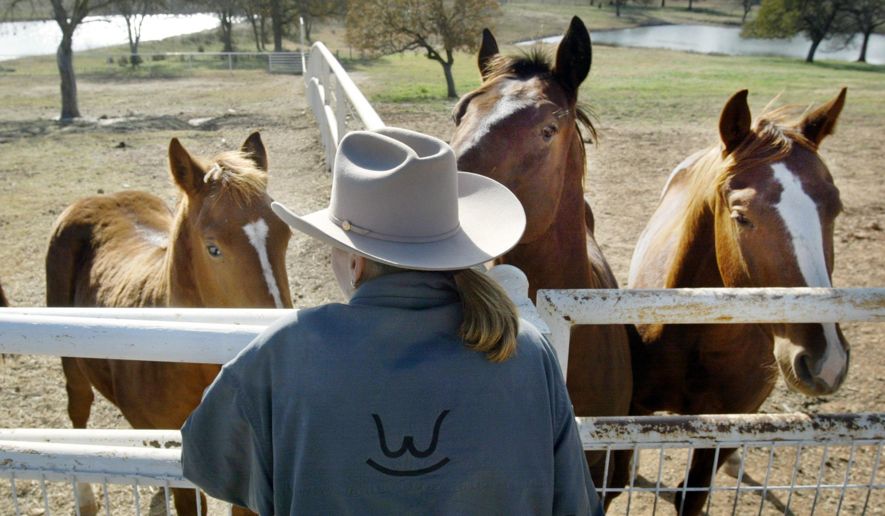 5a90c78cbb98a428810f6a706700bfee_c0-179-2400-1578_s885x516