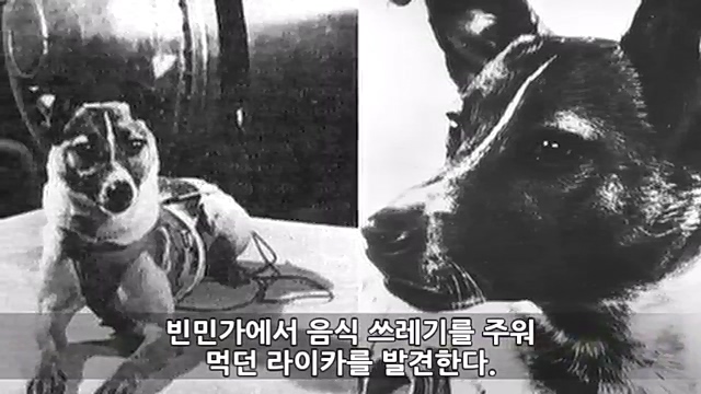 Youtube '랭킹모아'