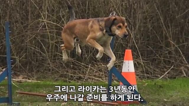 Youtube '랭킹모아'